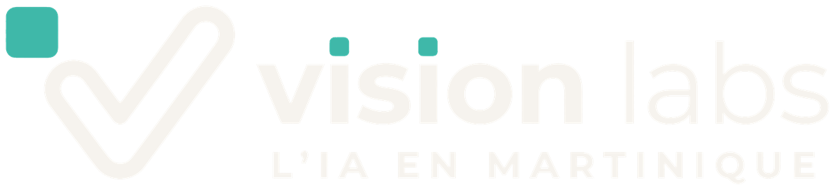 Vision Labs, l'IA en Martinique