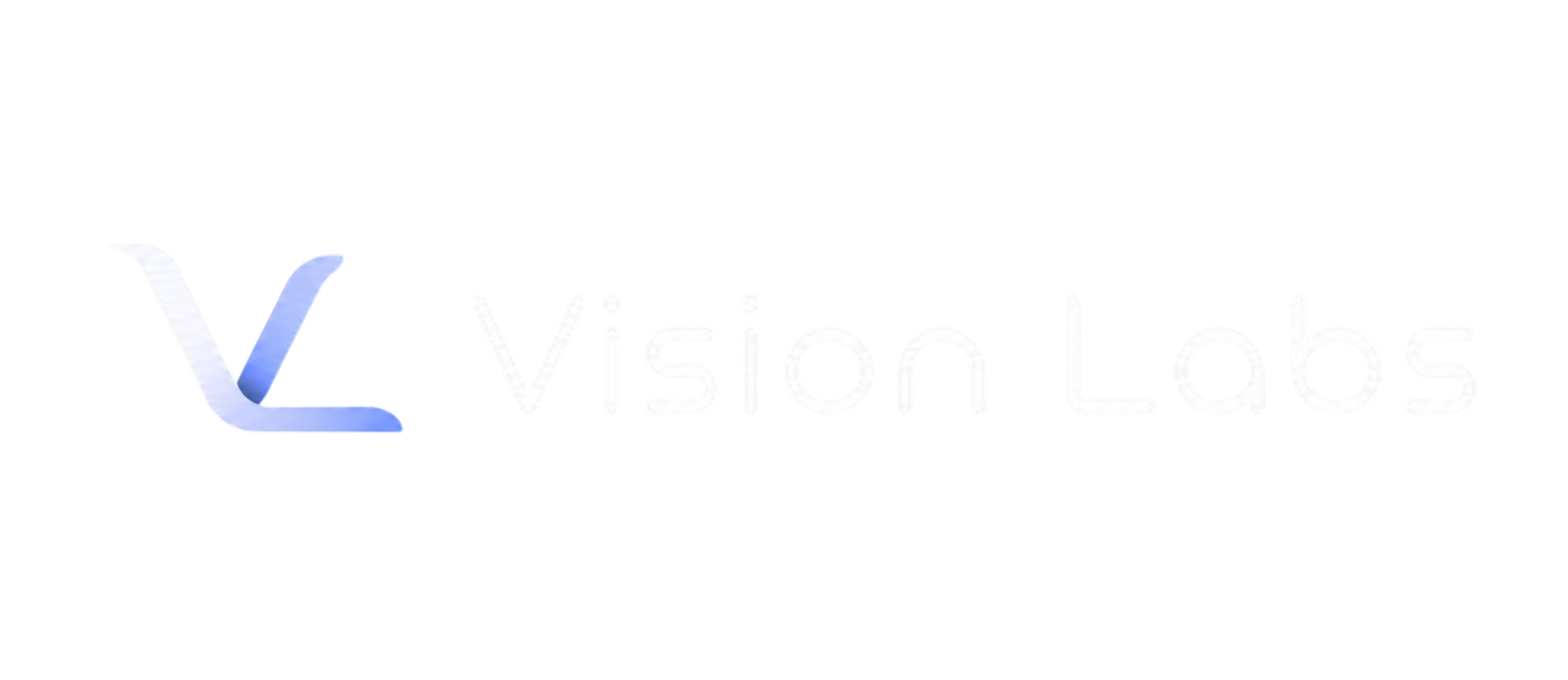 Vision Labs